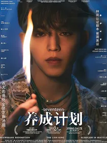 （微恐）seventeen：养成计划