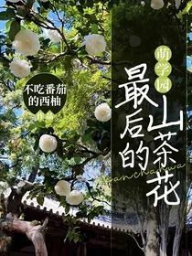 萌学园：最后的山茶花
