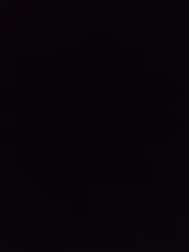 在大佬身边混日子