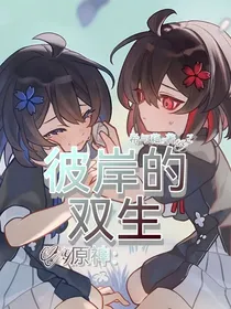 原神：彼岸的双生