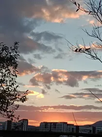 脱离剧情后，我成了万人迷