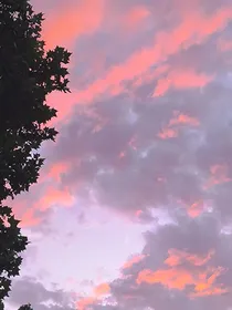 盛炽
