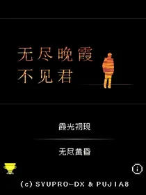 无尽晚霞不见君