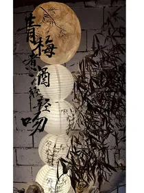 青梅煮酒……轻轻吻