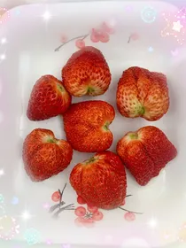 如果历史是一群喵与动画人物日常