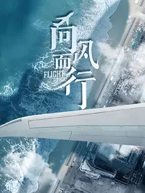 向风而行——另一种可能