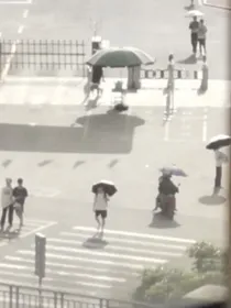 那年夏天，宁静的海