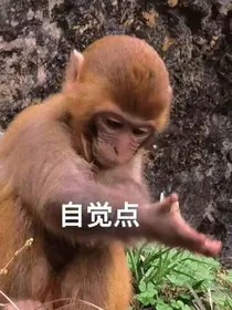 极品爆笑冷笑话