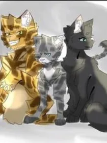 猫武士小小三外传