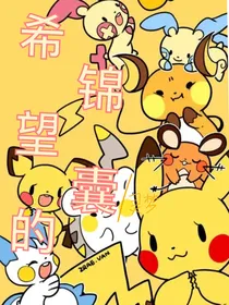 穿越宝可梦世界之希望的锦囊