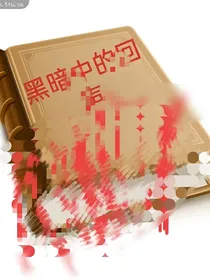 黑暗中的回声