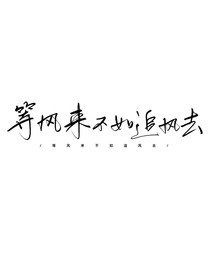 穿越之等风来不如追风去