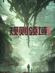规则领域