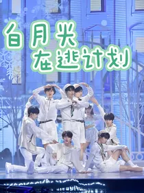 TNT：白月光在逃计划