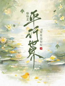 综综艺：平行世界