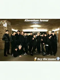 seventeen之穿越兽世