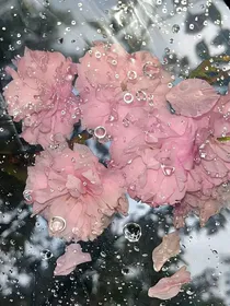 最长情的表白