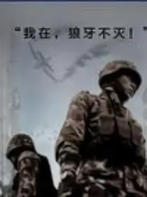 特种兵在火凤凰……