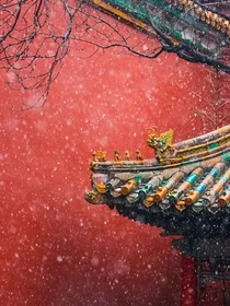 综清穿：朕就是这样的汉子！
