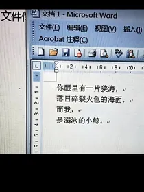 未检票的电影票
