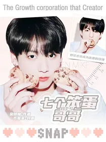 BTS：七个笨蛋哥哥