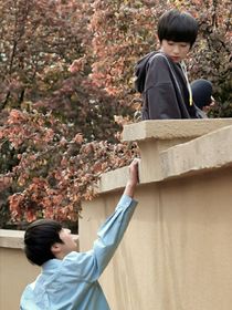 养花人和小少爷