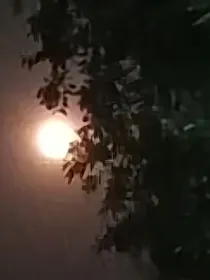 爆裂飞车之勿忘无望