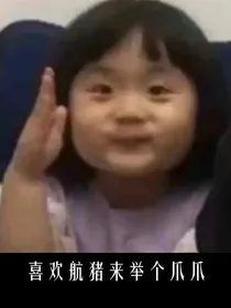 航猪——变小后该怎么办