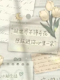 斗龙战士：恋爱漫漫
