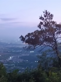 灵魂法医