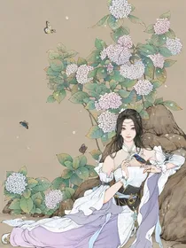 综穿：随心之旅