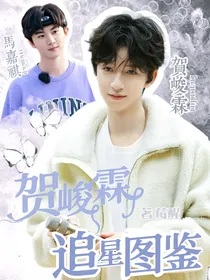 贺峻霖：追星图鉴