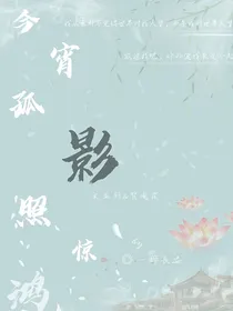 今宵孤影照惊鸿