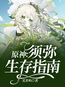 原神：须弥生存指南