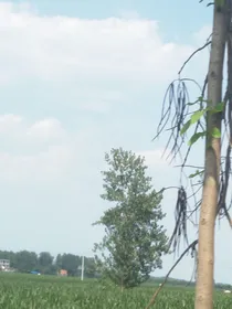 手下的人在谈恋爱