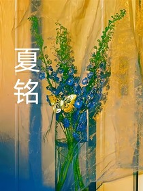 夏铭