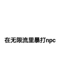 在无限流里暴打npc