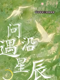 问沿遇星辰