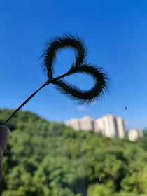 心理关系