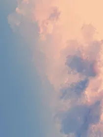 桔梗花已至