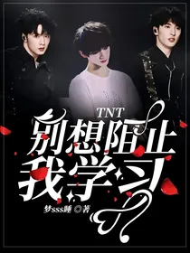 TNT：别想阻止我学习