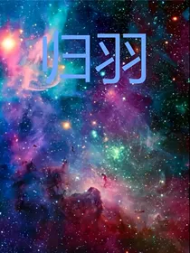 查九：归羽