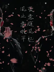 刑侦档案七队