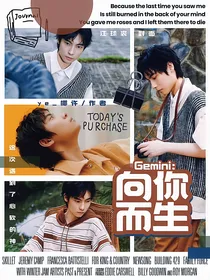 Gemini：向你而生