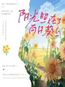阳光照在了向日葵上