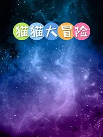猫猫大冒险