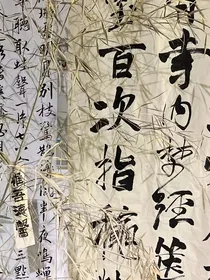 我等你带我回家