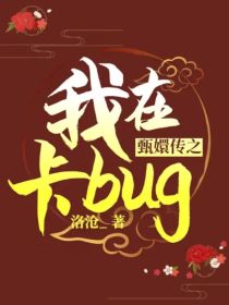 甄嬛传之我在卡bug