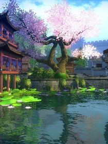 猫的天地