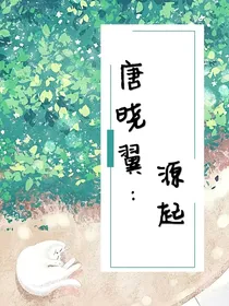 唐晓翼：源起